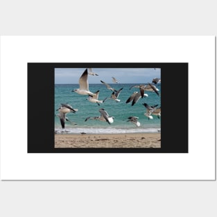 Birds in Flight Over Beach Posters and Art